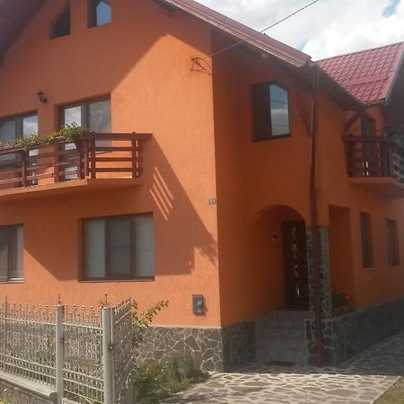 Pensiunea Adi Săpînţa Exteriör bild