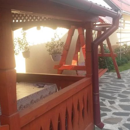 Pensiunea Adi Săpînţa Exteriör bild