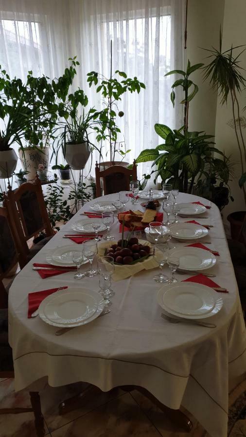 Pensiunea Adi Săpînţa Exteriör bild